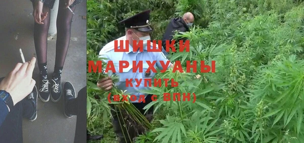 стафф Арсеньев