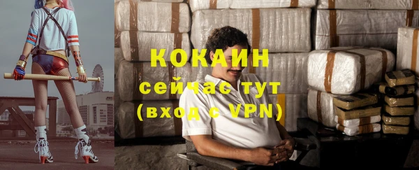 ГАЛЛЮЦИНОГЕННЫЕ ГРИБЫ Белокуриха