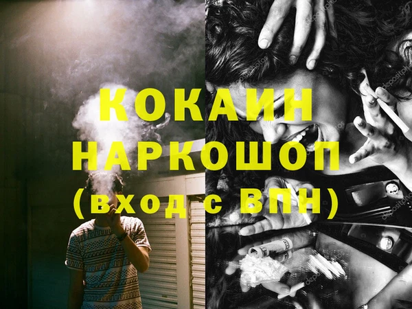 стафф Арсеньев